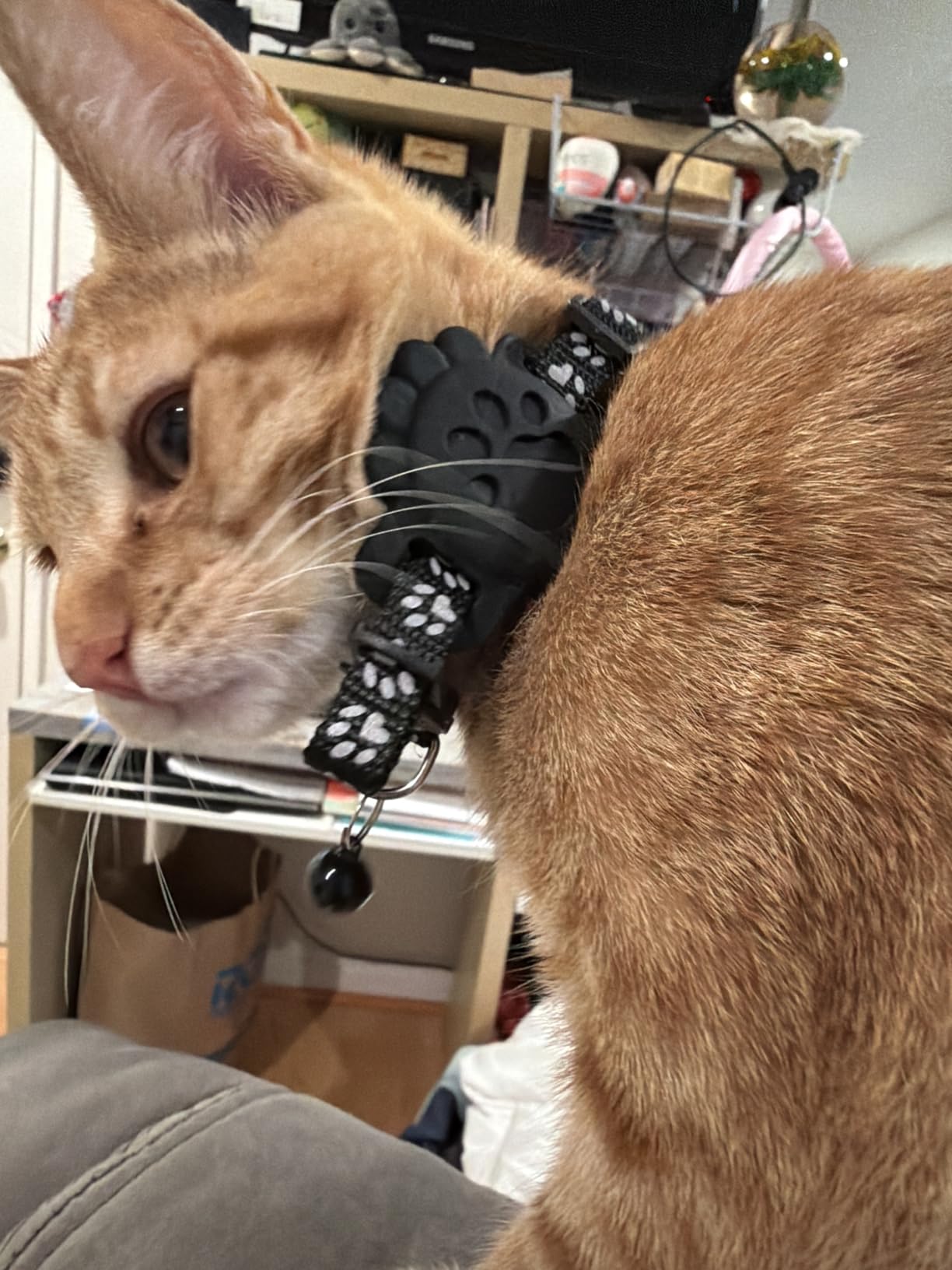 Cat Tracker GPS Collar for Cats Electronic Pet Locator (Only iOS) Waterproof Compatible with Apple Find My No Monthly Fee Ideal for Small to Large Cats customer photo 1