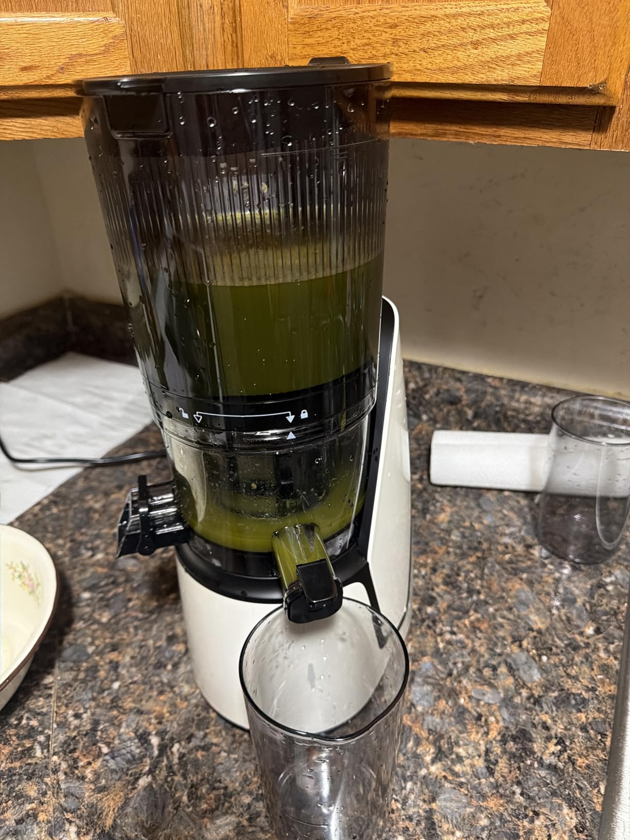 Juicer Machines, 3-in-1 Cold Press Juicer with 6.5