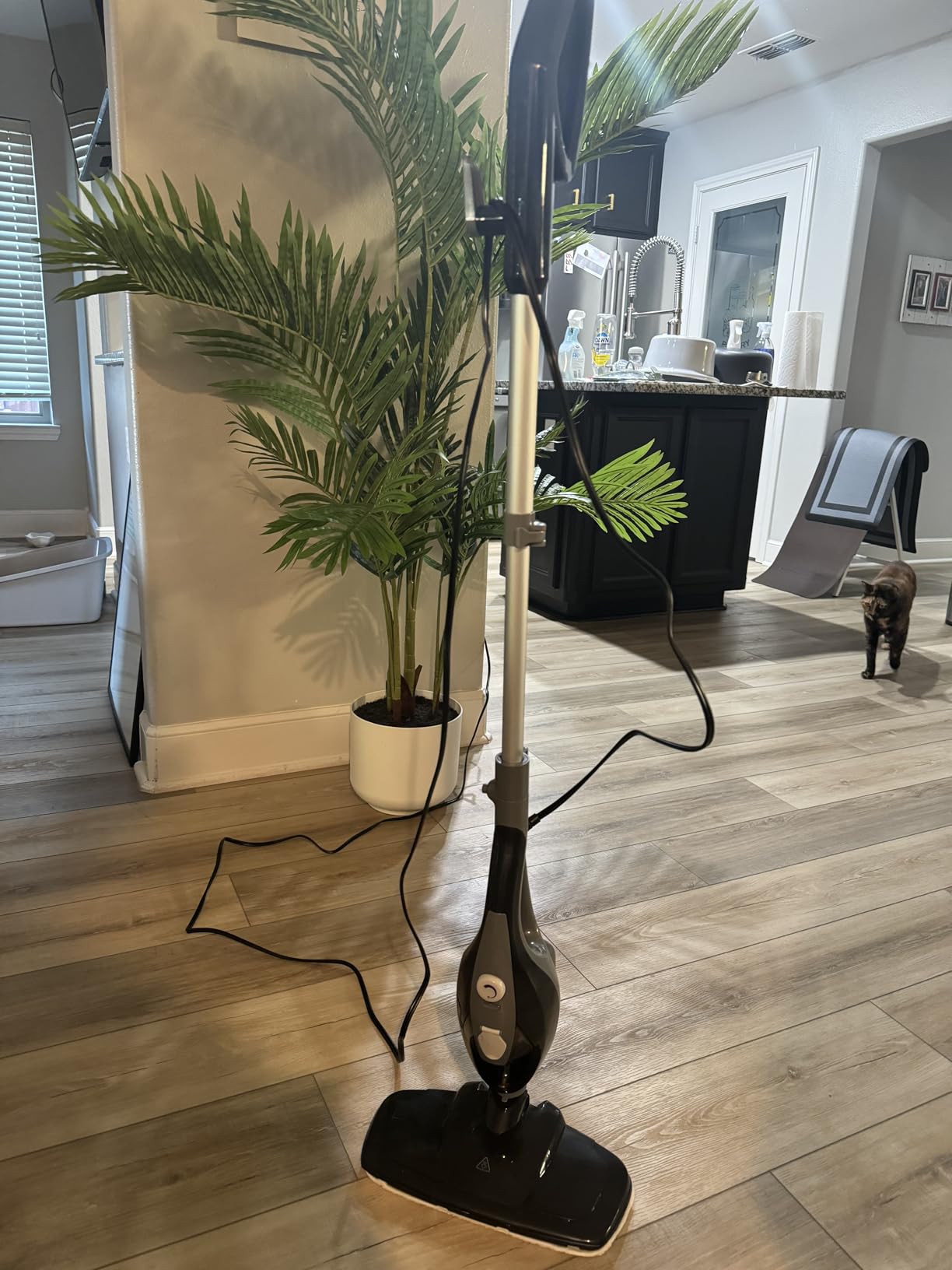 OLIXIS 10-in-1 Steam Mop, 1550W Detachable Handheld Steam Cleaner for Floor Cleaning, 16FT Cord, 2 Washable Pads, Multi-Purpose Floor Steamer for Hardwood, Carpet, Tile, Grout, Windows, White Green customer photo 1