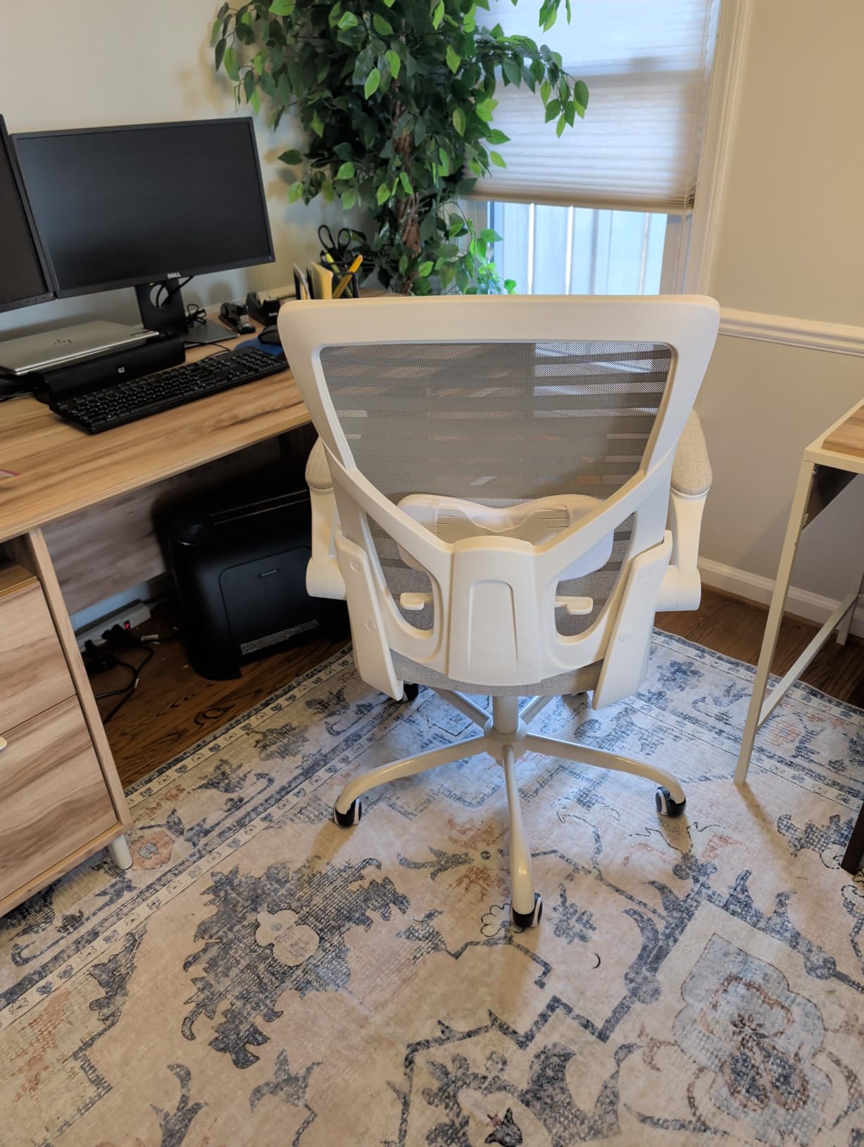 Office Desk Chair for Long Hours & Lower Back Pain Relief - 4