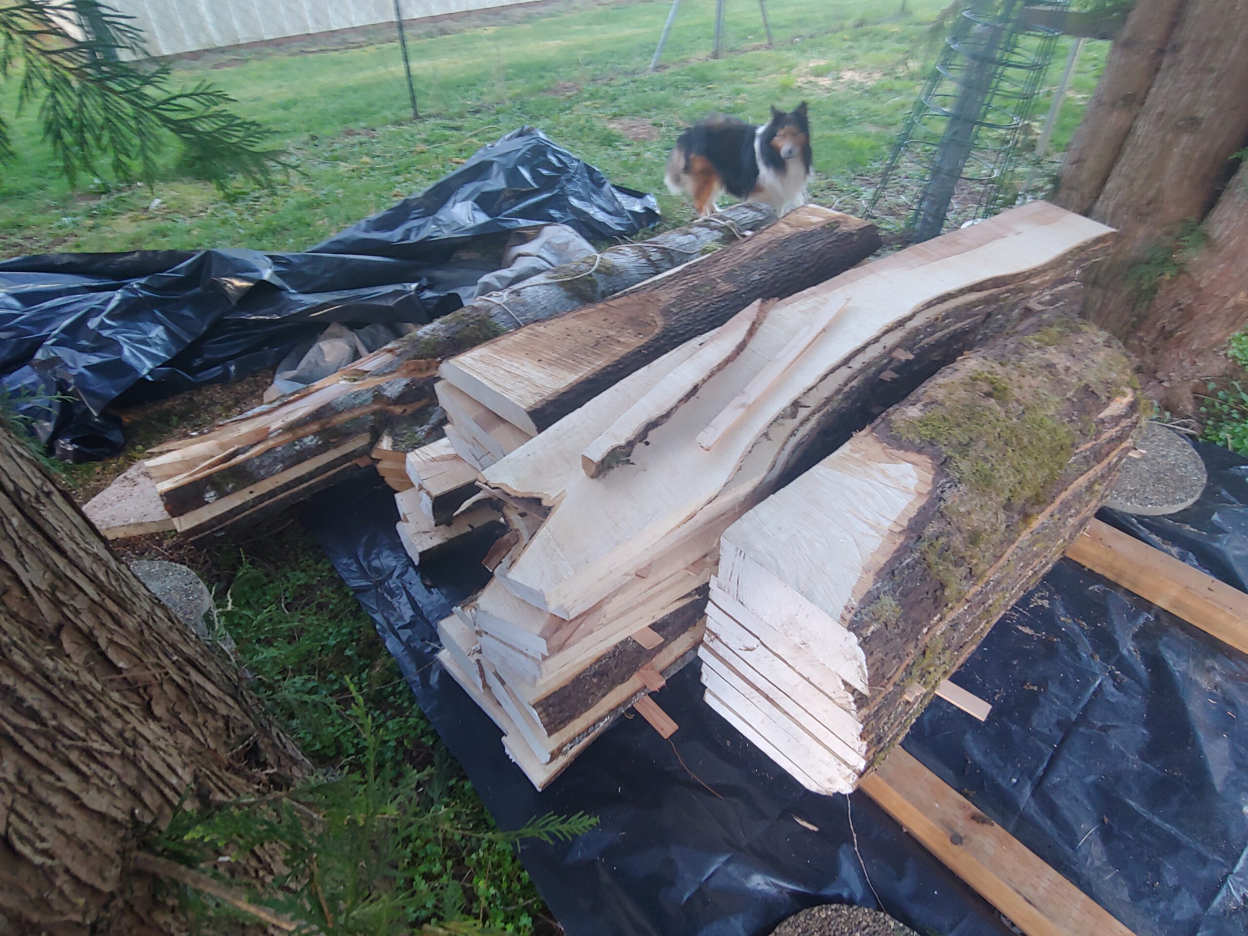 Granberg Chainsaw Alaskan Small Log Mill, G777 - Portable Sawmill Timber Attachment for Bars with 16-20 Inch - Lumber Milling Tools customer photo 2