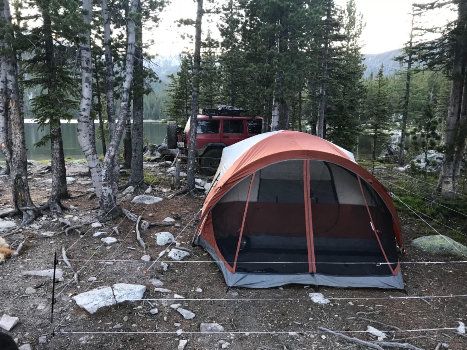 Bear Shock UDAP Ultra Light Electric Fence for Camp, Portable Camping Kit, 27 ft x 27 ft, BEF customer photo 1