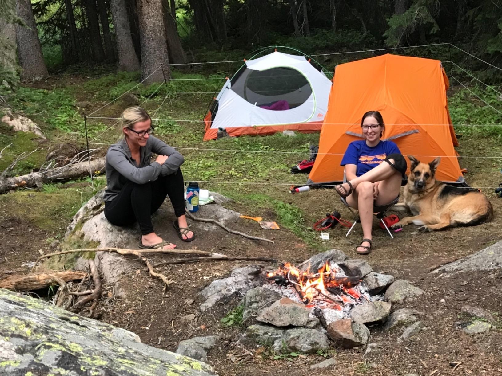 Bear Shock UDAP Ultra Light Electric Fence for Camp, Portable Camping Kit, 27 ft x 27 ft, BEF customer photo 2