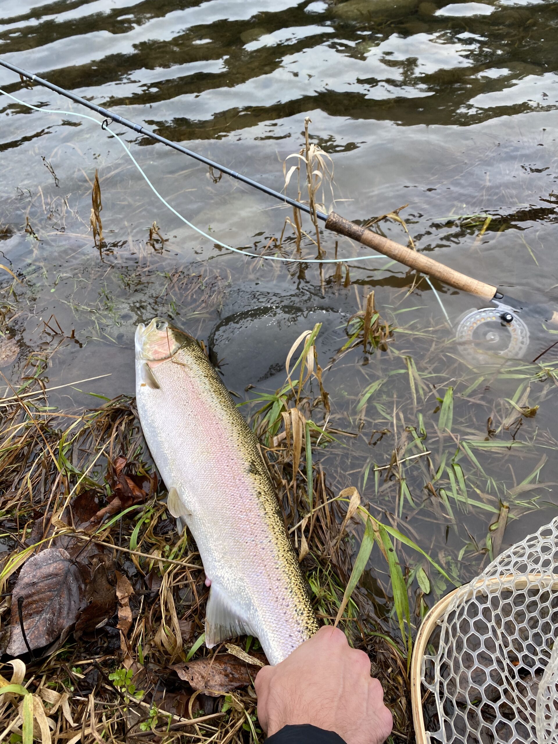 ECHO SR Switch Fly Rod customer photo 1