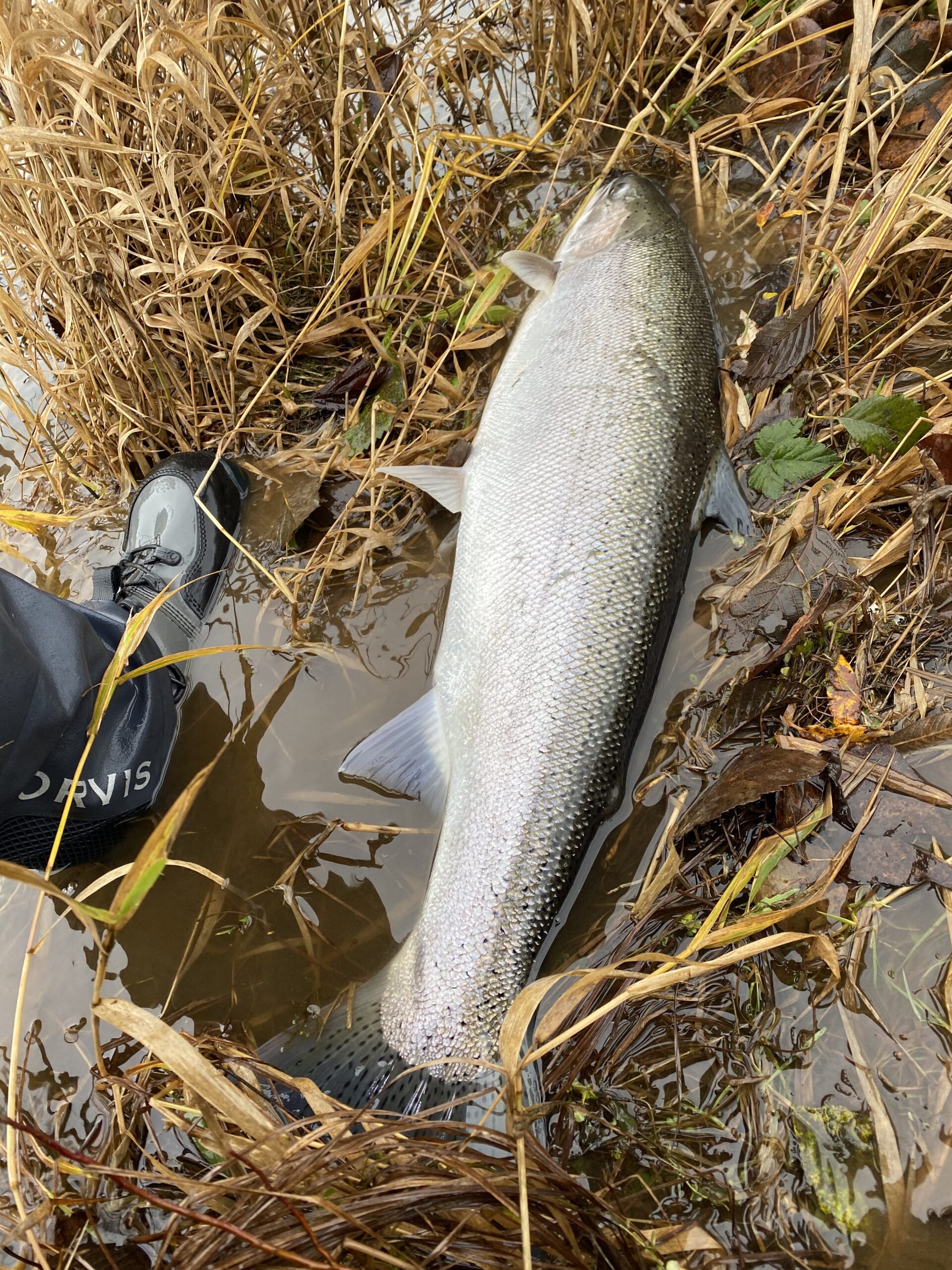 ECHO SR Switch Fly Rod customer photo 2