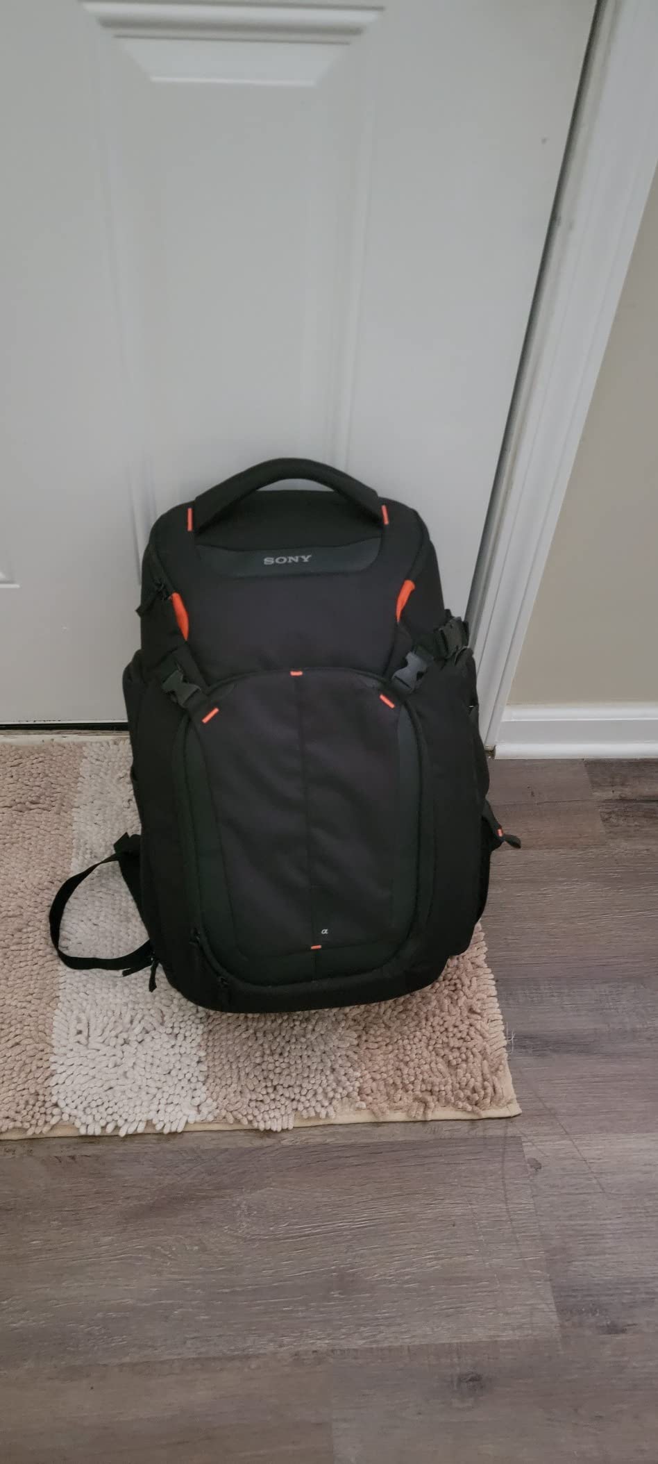 Sony LCSBP3 DSLR System Backpack with Laptop Storage, Large, Black customer photo 2