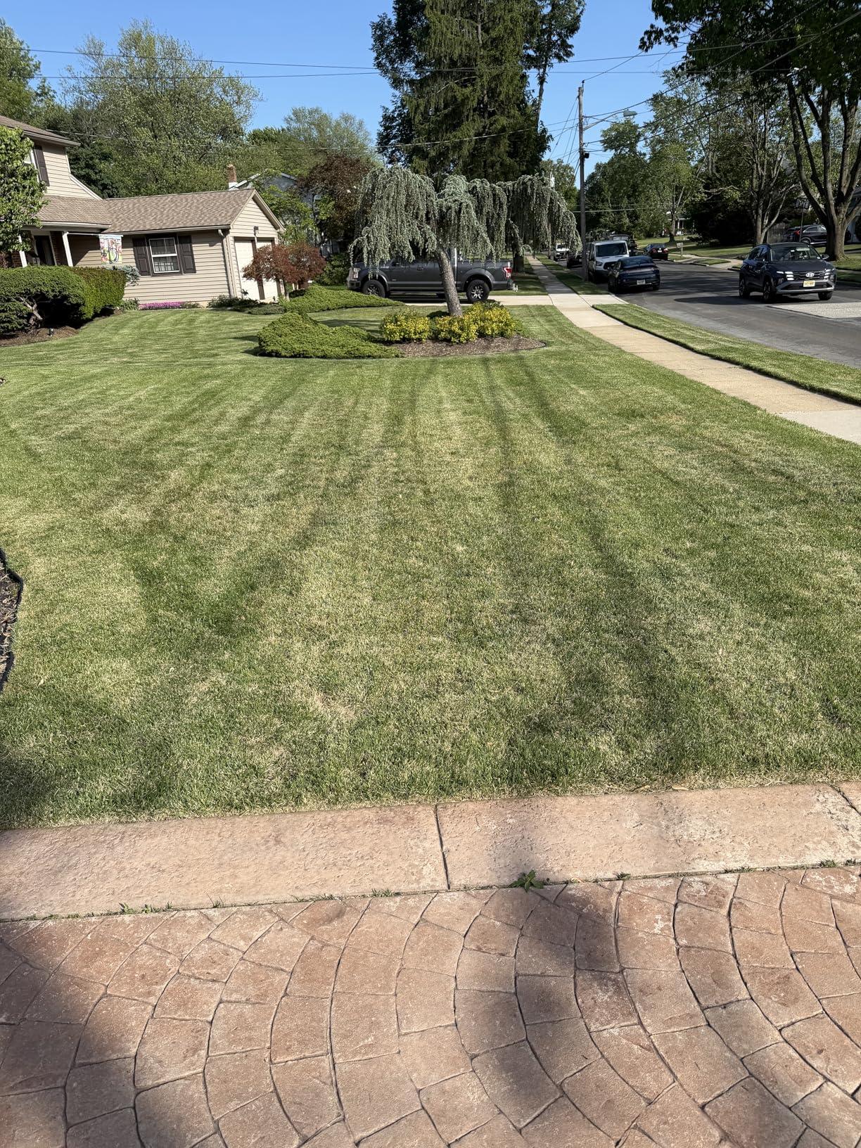 Sun Joe Electric Dethatcher & Scarifier, Corded, with 8-Gal Bag, 12.6-Inch Cutting Width, 12-Amp Motor - AJ801E customer photo 1