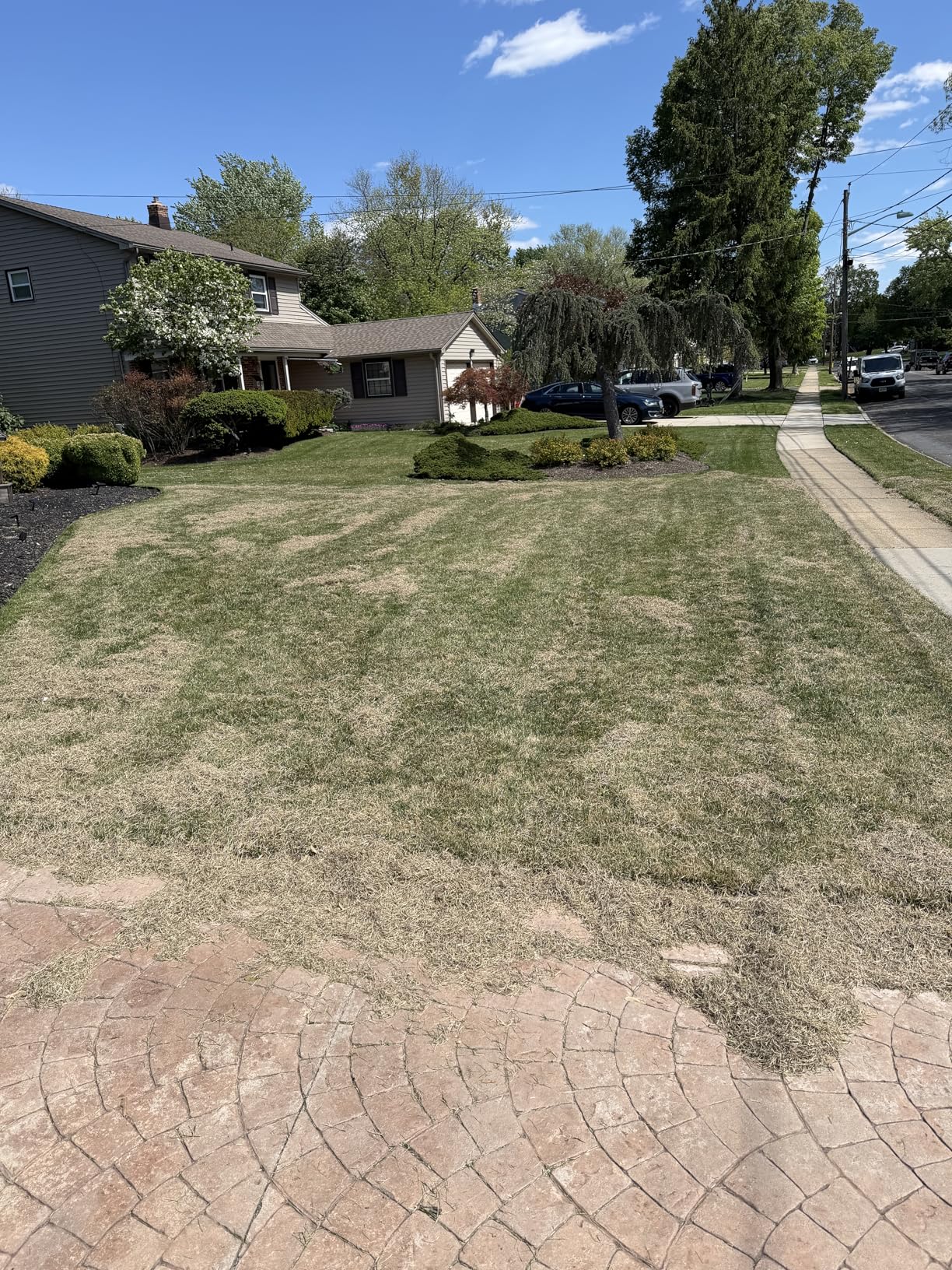 Sun Joe Electric Dethatcher & Scarifier, Corded, with 8-Gal Bag, 12.6-Inch Cutting Width, 12-Amp Motor - AJ801E customer photo 2