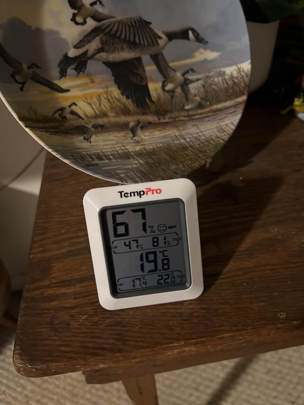 TempPro TP50 Digital Hygrometer Indoor Thermometer Room Thermometer and Humidity Gauge with Temperature Humidity Monitor (Previously ThermoPro) customer photo 2