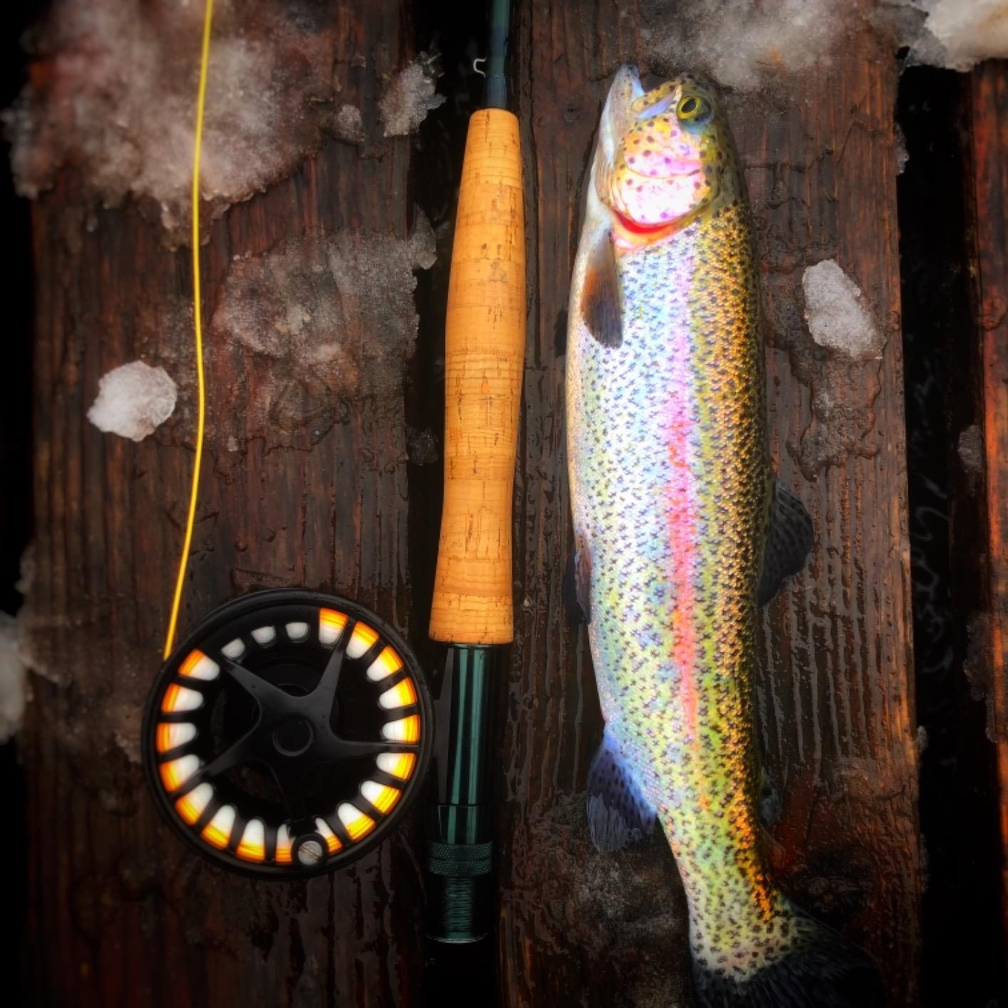Maxcatch 3-12wt Medium-Fast Action Premier Fly Fishing Rod-IM8 Carbon Blank for High Performance, with AA Cork Grip Hard Chromed Guides customer photo 2