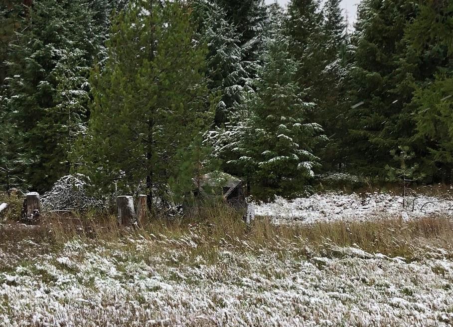 Ameristep Care Taker Portable Pop Up 2 Person Ground Hunting Concealment Blind, RealTree Edge customer photo 2