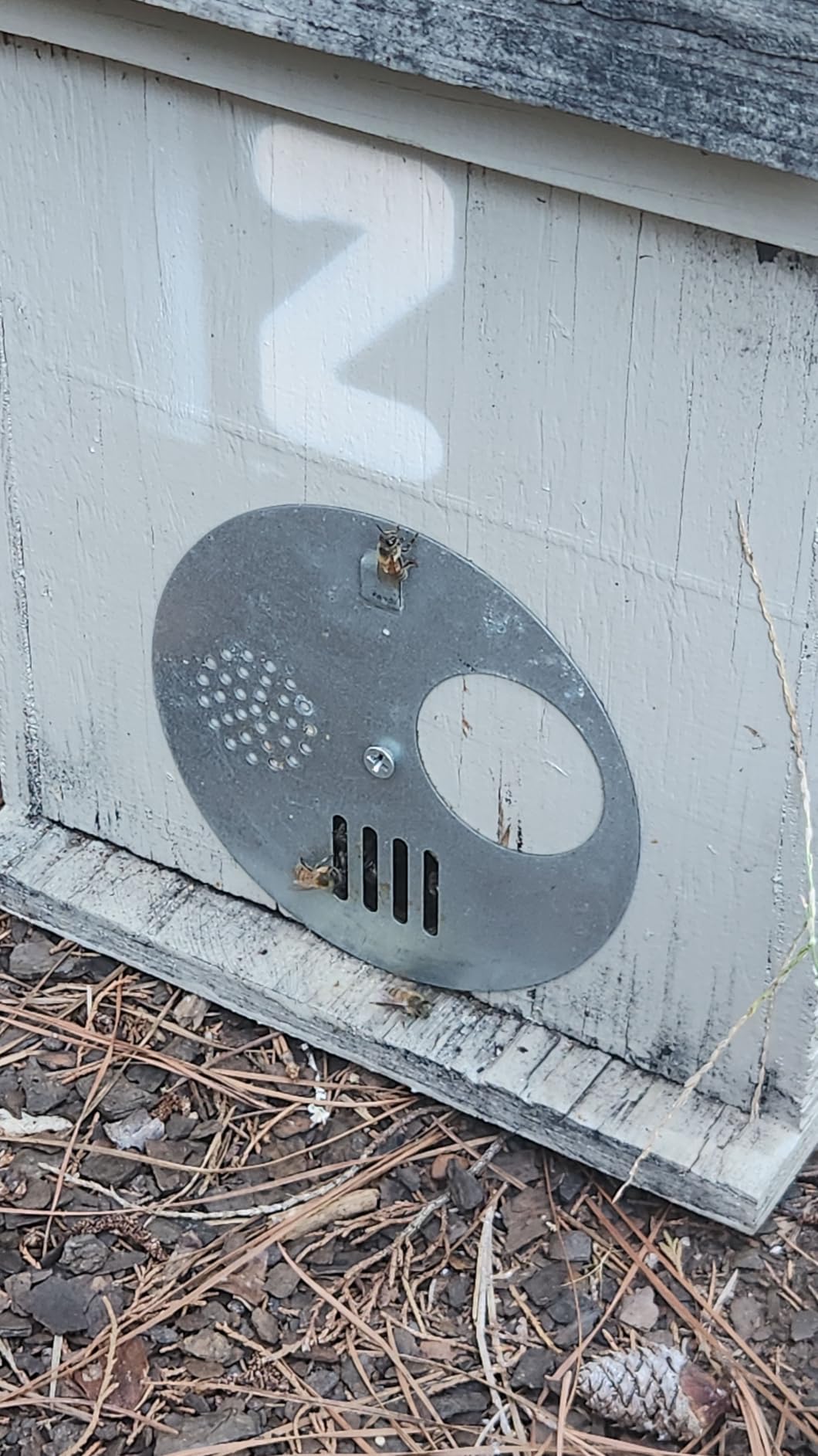 Bee Bait Swarm Lure/Attract More Honey Bees to Your Bait hive customer photo 2