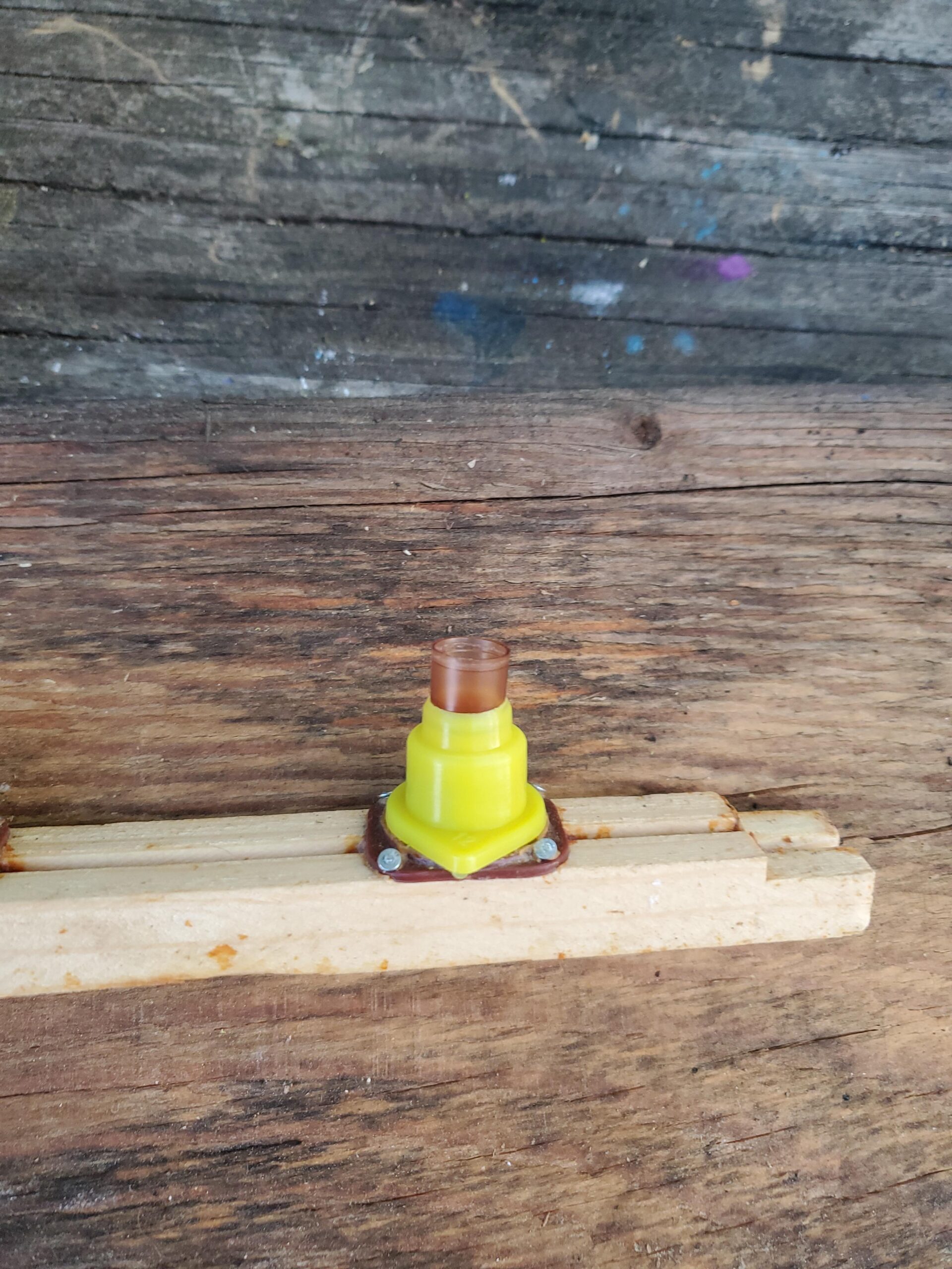 20 pcs Beekeeping Queen Bee Roller Cages Queen Bee Rearing Cell Cup Kit Holder Cell Fixture for Nicot System customer photo 1