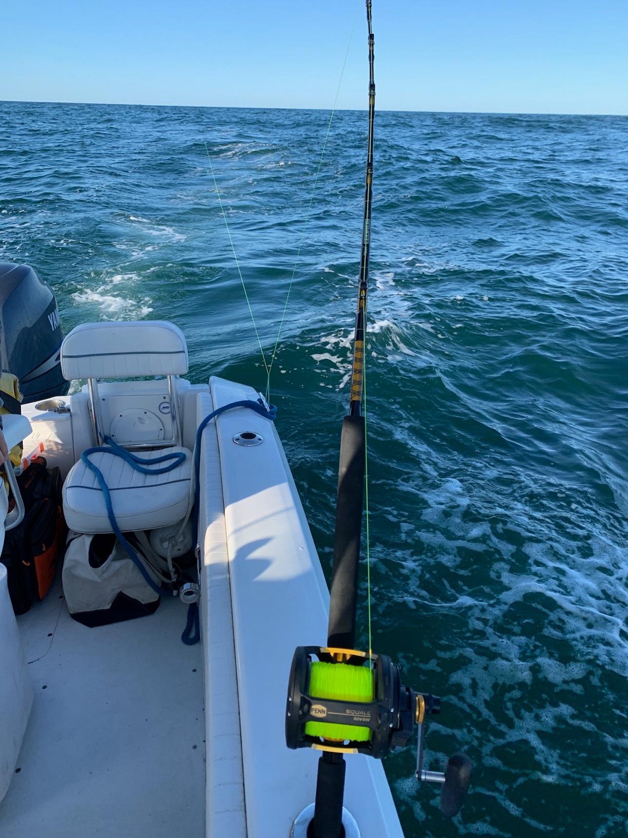 Fiblink Saltwater Offshore Heavy Trolling Rod Big Game Roller Rod Conventional Boat Fishing Pole (5 Feet 6 Inch) customer photo 2