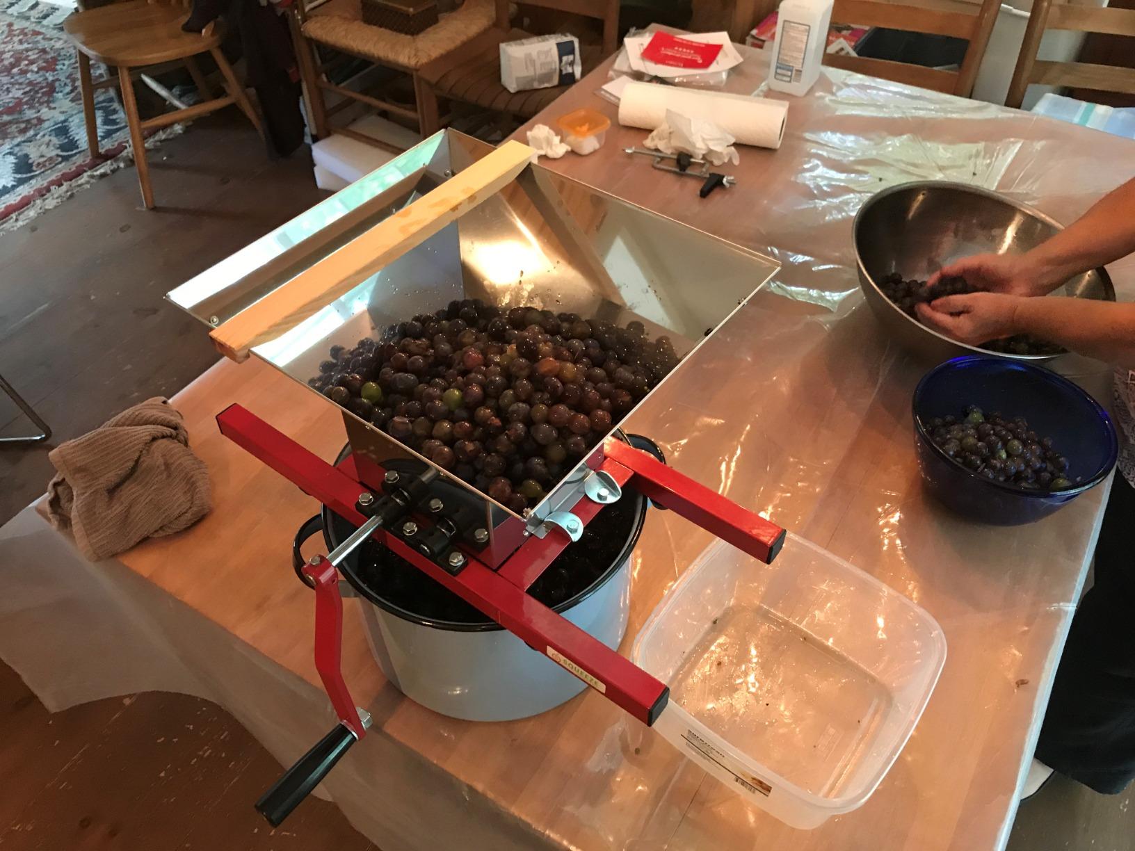 SQUEEZE master Grape Berry Wine Fruit Manual Crusher Grinder - 7 Litre Large Stainless Steel - for Manual Cider Juicer Grinder & Fruit Scatter, Berry Wine Sauce customer photo 1