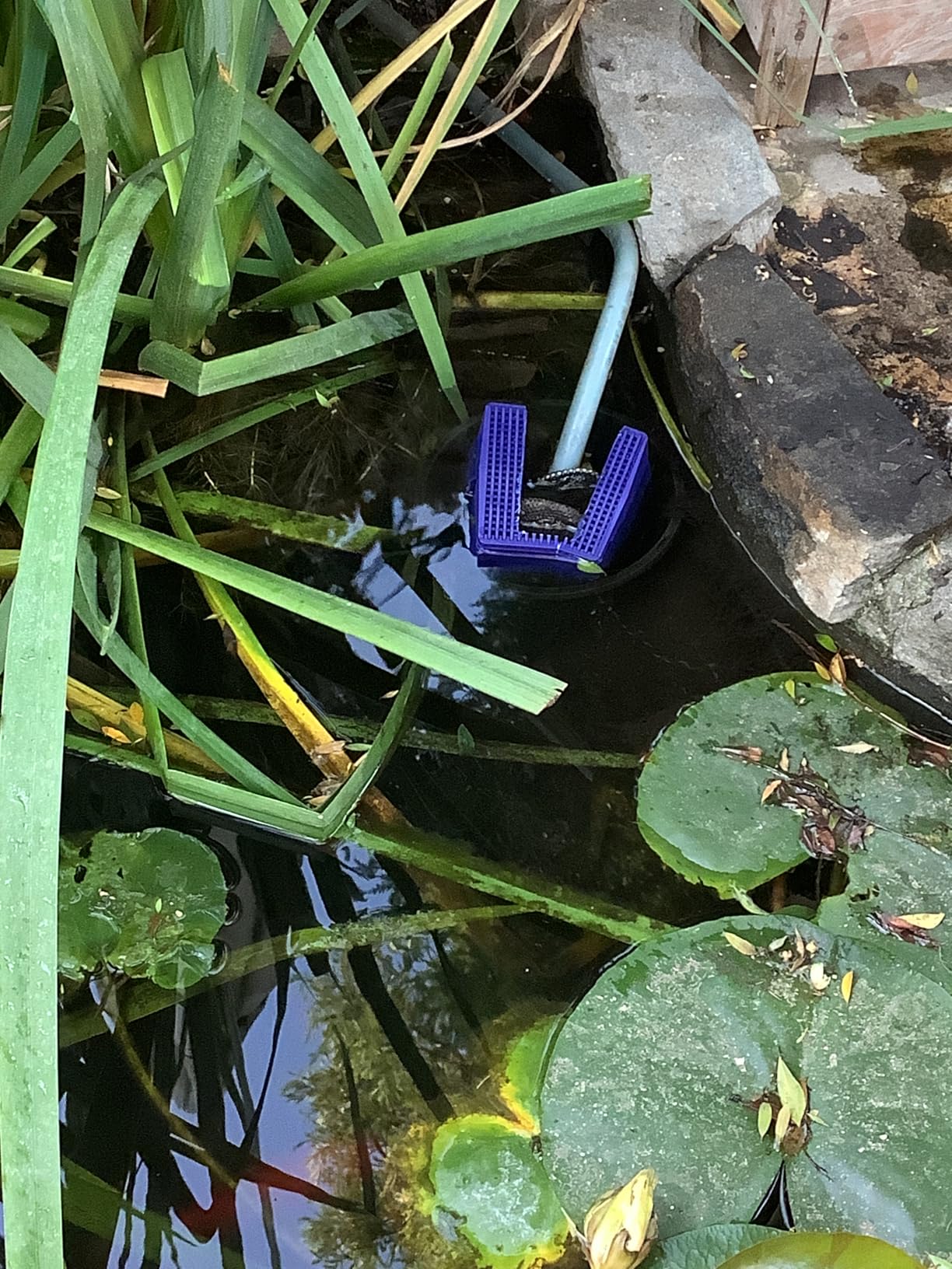Knifel Submersible Pump 880GPH (3500L/H 60W) Ultra Quiet with Over Heating Protection 10.2ft High Lift for Fountains, Hydroponics, Ponds, Aquariums & More customer photo 2