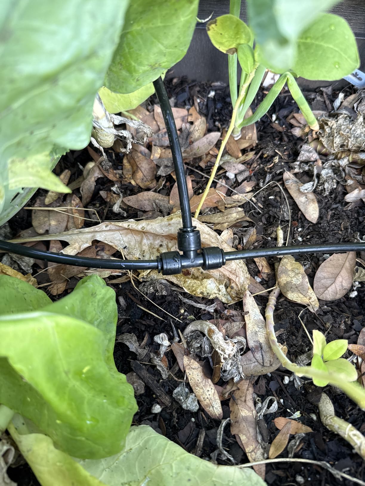 CARPATHEN Drip Irrigation System Kit - Complete Premium Garden Watering System with Adjustable Sprinkler Emitters, 5/16