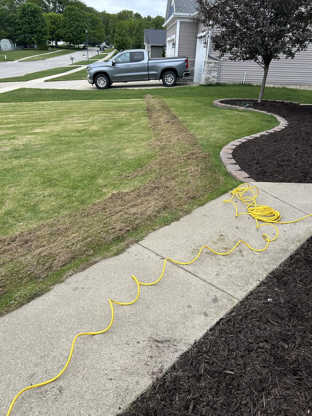 Sun Joe 15-Inch Electric Powered Lawn Dethatcher with Scarifier Blade Reel and Collection Bag - 13-Amp AJ805E customer photo 1