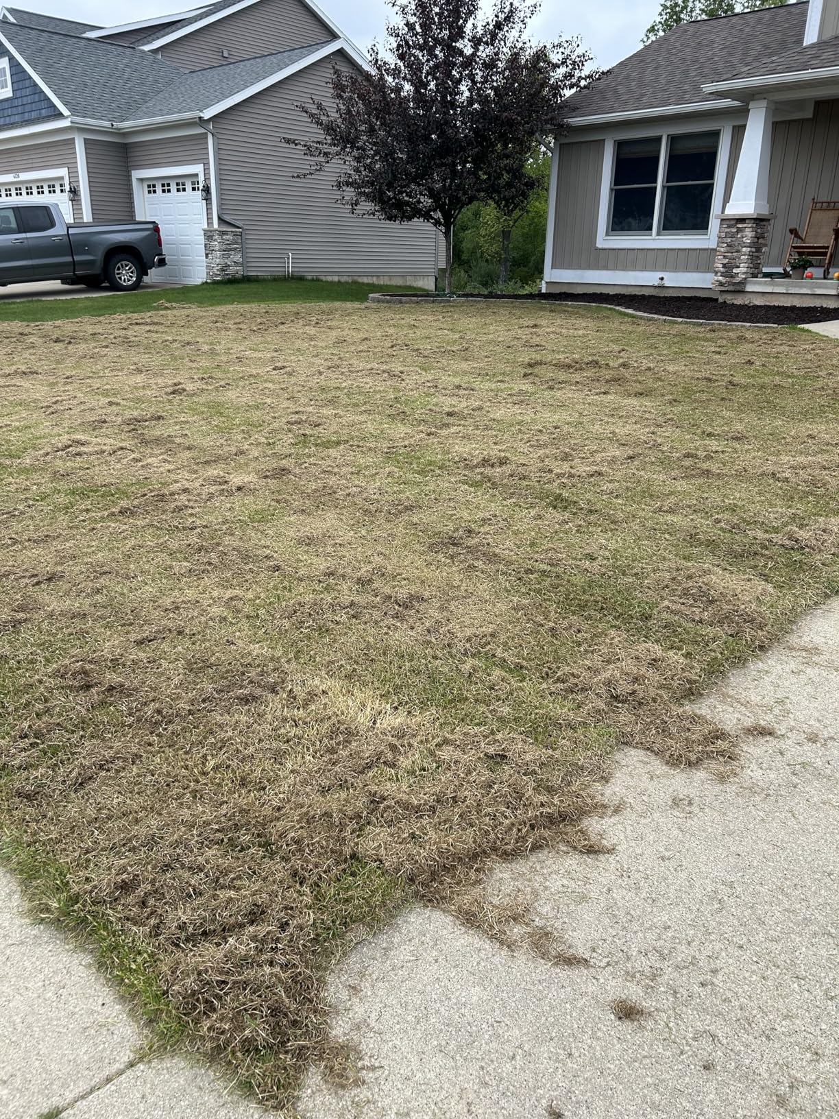 Sun Joe 15-Inch Electric Powered Lawn Dethatcher with Scarifier Blade Reel and Collection Bag - 13-Amp AJ805E customer photo 2