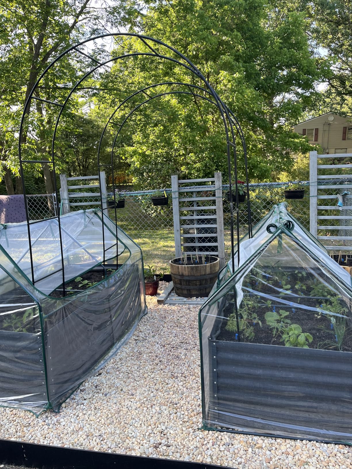 Quictent Raised Garden Bed with Cover Outdoor Galvanized Metal Planter Box Kit, w/ 2 Large Screen Windows Mini Greenhouse 20pcs T Tags 1 Pair of Gloves Included for Growing Vegetables 6x3x1ft customer photo 1