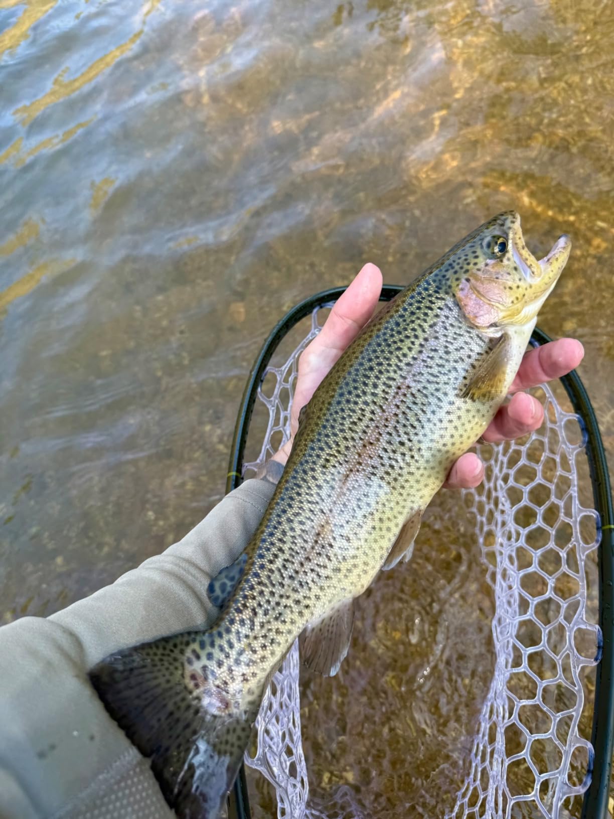 Redington Butter Stick Fly Rod with Tube, 3WT 7'0