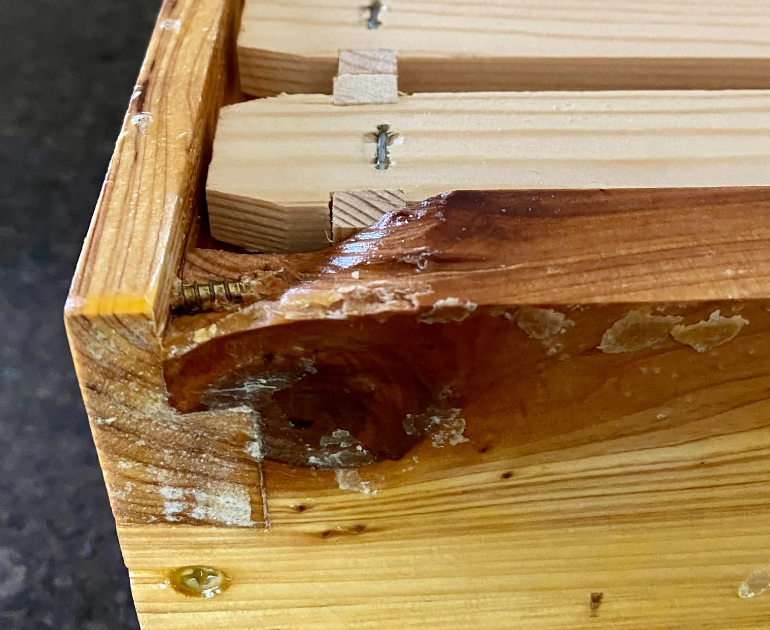 BeeCastle 10 Frame Assembled Medium Honey Super Bee Hive Box with Beehive Frames & Beeswax Coated Foundation Sheets customer photo 2