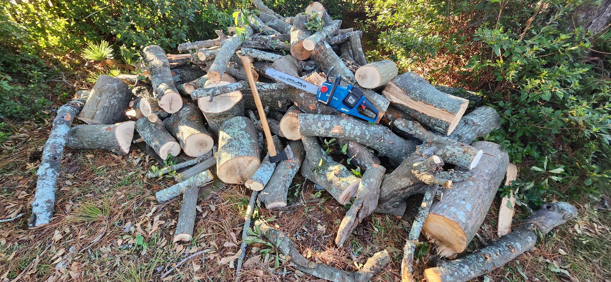 Dong Cheng Brushless Cordless Chainsaw, 40V 16 Inch, Gas-Power Performance, Tool-Free Chain Tension, Instant Brake, with 2x4.0Ah Batteries & Charger for Felling, Logging & Heavy-Duty Wood Cutting customer photo 1