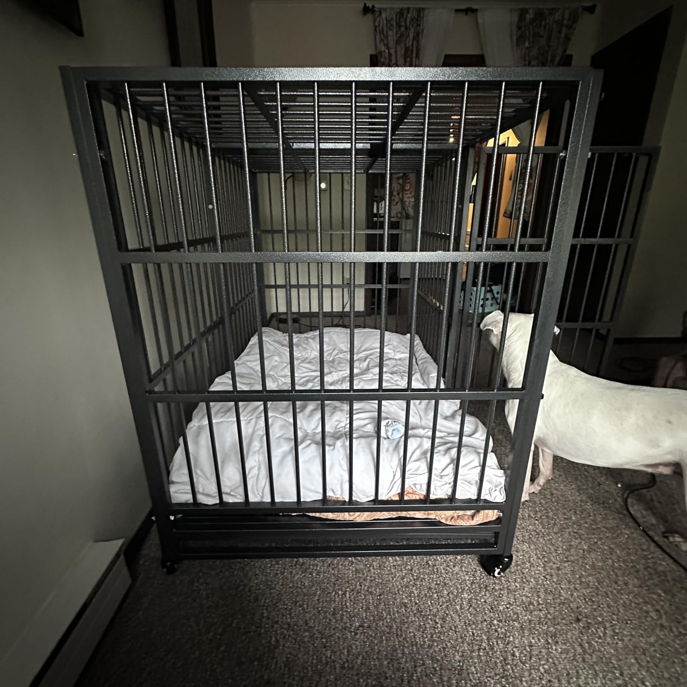 BOLDBONE 48 inch Heavy Duty Indestructible and Escape-Proof Dog Crate Cage Kennel for Large Dogs, High Anxiety Dog Crate with Removable Wire Trays and Wheels (XL XXL, Black) customer photo 1