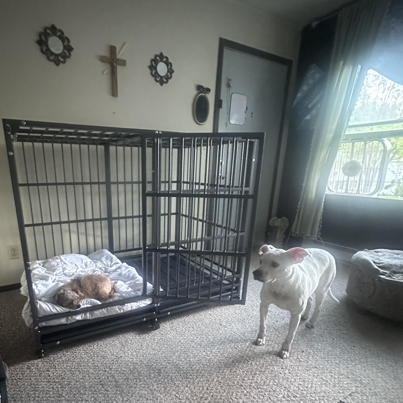BOLDBONE 48 inch Heavy Duty Indestructible and Escape-Proof Dog Crate Cage Kennel for Large Dogs, High Anxiety Dog Crate with Removable Wire Trays and Wheels (XL XXL, Black) customer photo 2