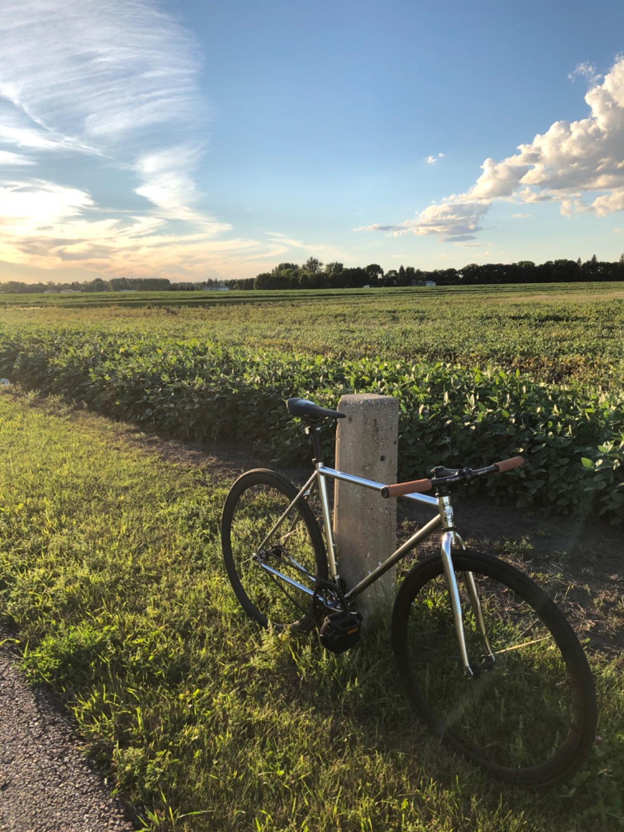 Golden Cycles Fixed Gear Single Speed Bike - Perfect Urban Commuter Bicycle with Front and Rear Brakes - Ideal for Teens and Adults customer photo 2