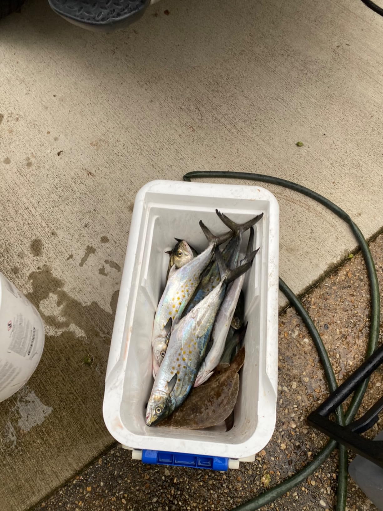 AFW American Fishing Wire Planer Board with Corrosion Resistant Stainless Steel Blade - Use for Offshore Controlled Depth Trolling customer photo 1