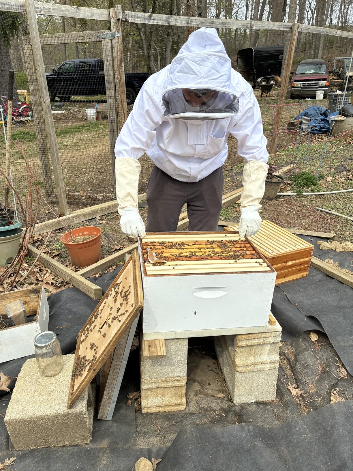 Bee Suit - Beekeeping Jacket for Men & Women - Polycotton Jacket with Beekeeping Gloves (White) customer photo 2