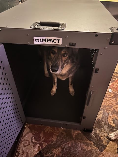 Impact Indestructible High Anxiety Crate for Intermediate Dogs - Heavy Duty Escape Proof Indoor Dog Kennel with Powder-Coated Aluminum - Ideal for Escape Artists (Gray, 34