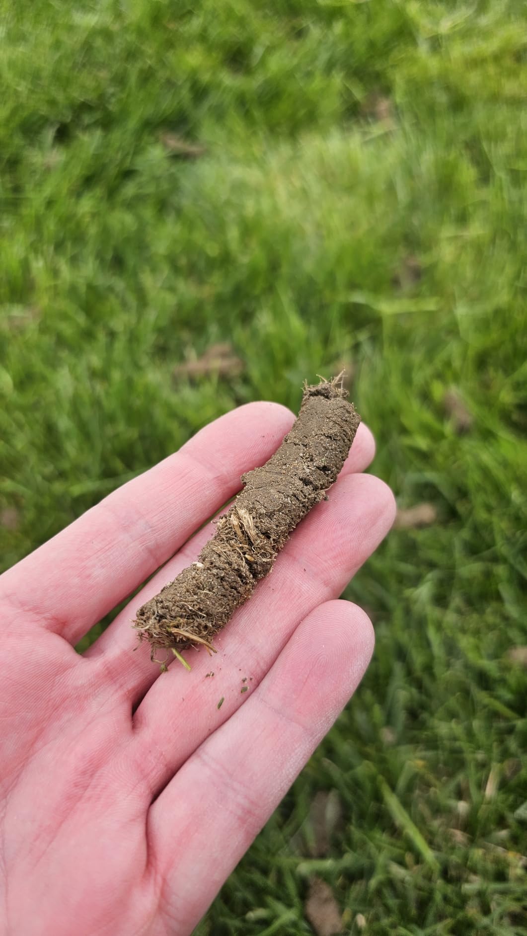 Patented Rolling Lawn Coring Aerator Yard Grass Pulling Plugs Manual Aeration Tool Push Roller Rotary Compacted Garden Soil Loosening customer photo 2