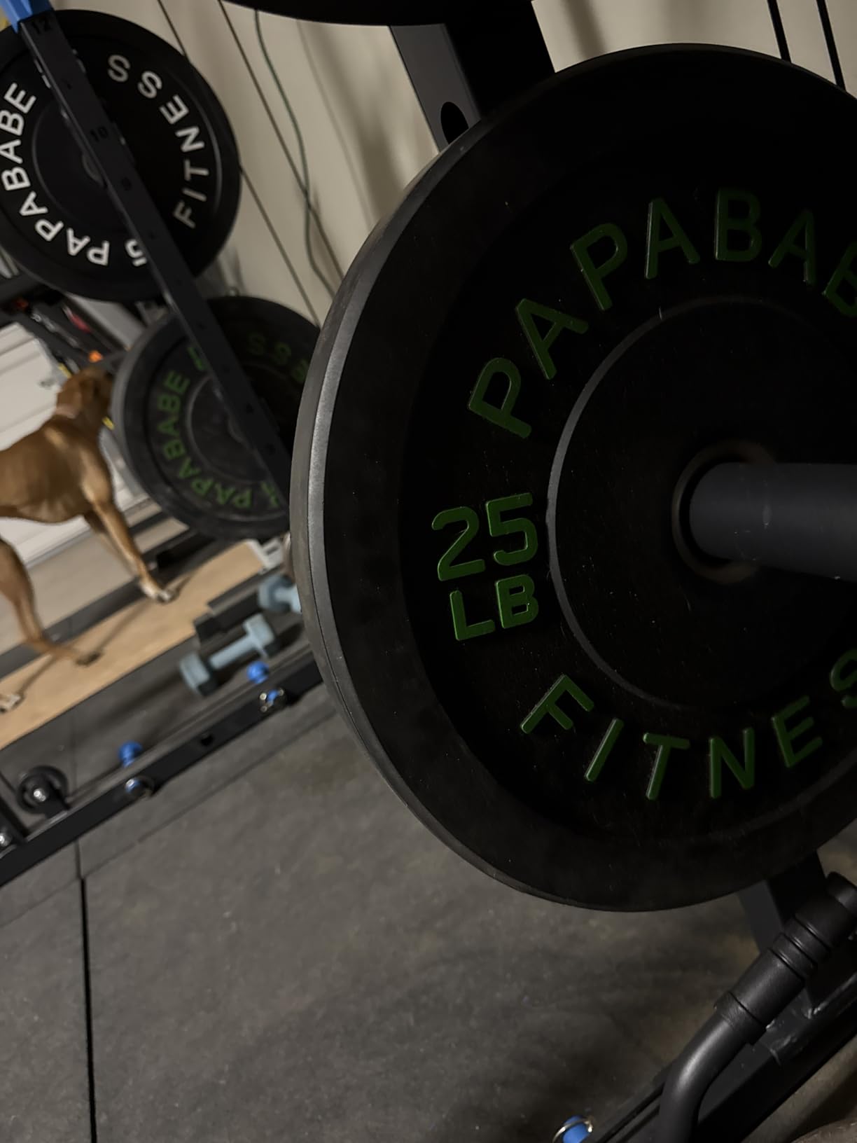 Papababe Weight Plates, 2-Inch Weights Plates Set, Floor Protective Rubber Weight Plates, 10-600lbs Bumper Plates for Barbell customer photo 1