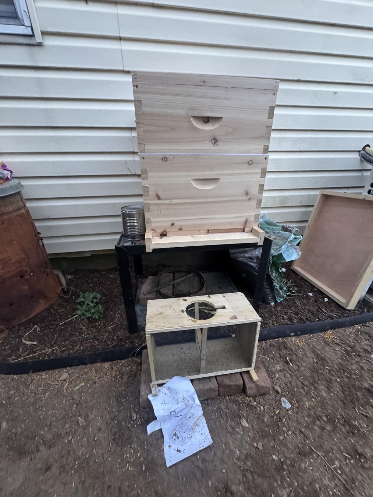 10 Frame Medium Super Beehive Box, Langstroth Super Honey Bee Hive Box, Include Beehive Frames and Waxed Foundations customer photo 1