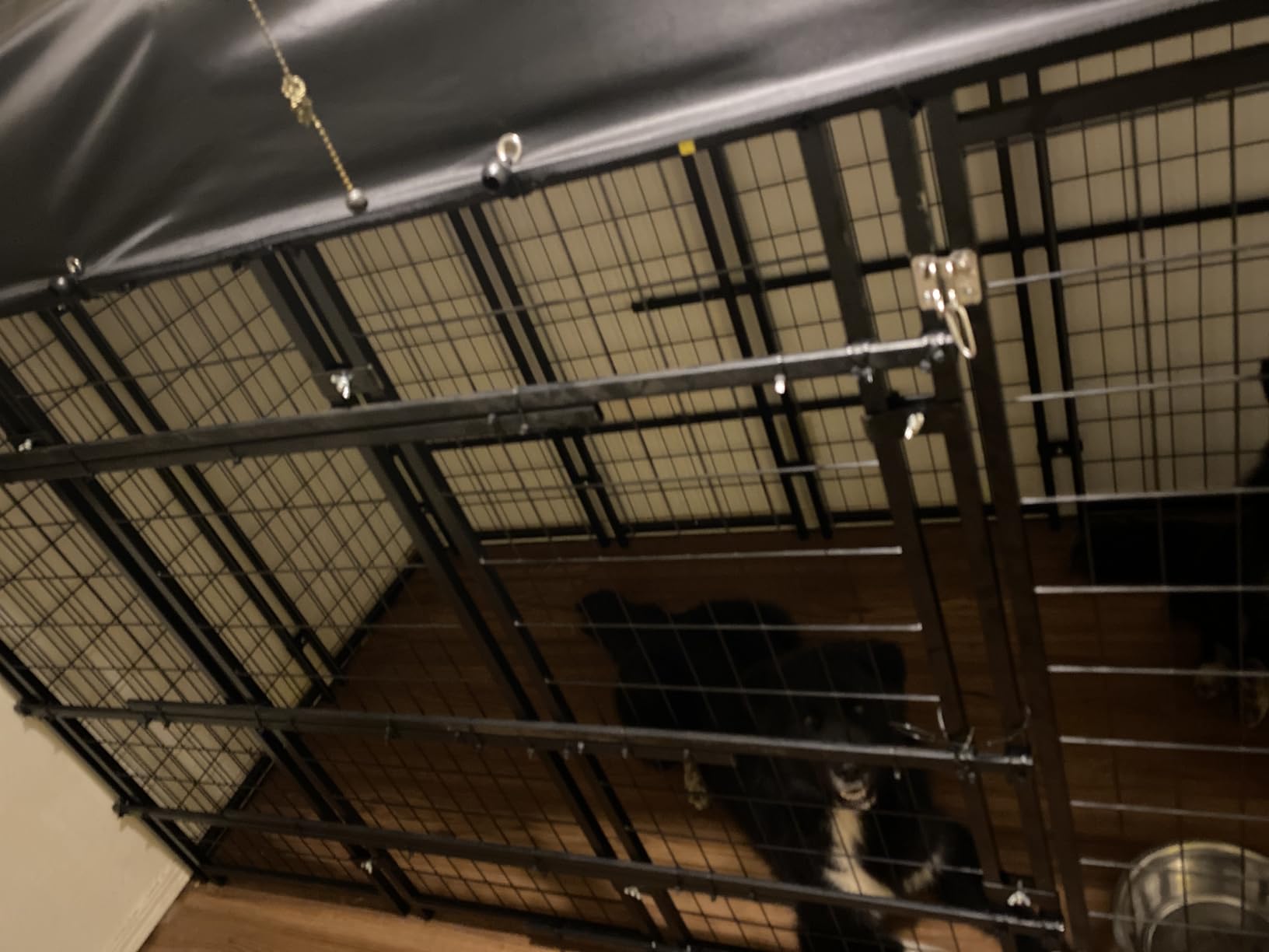 Sino Luban Outdoor Dog Kennel Outside Run with Doggy Door, Swivel Feeder & Roof - 8x4x6FT Large Dog Kennels Pens Outside for Large Dogs Breed - Heavy Duty Cage Yard (Can Connect to Your Dog House) customer photo 2