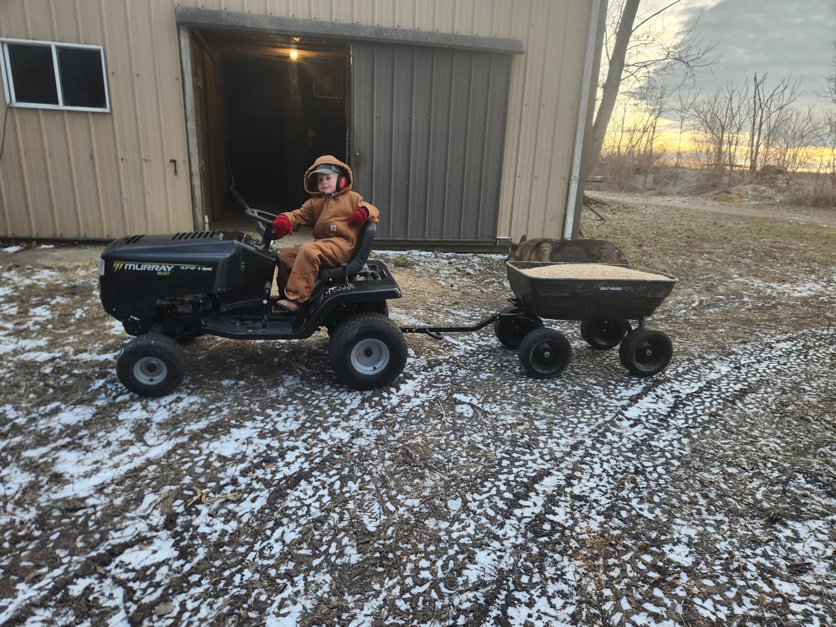 BILT HARD Poly Garden Dump Cart 600 lbs with No Flat Tires, Quick Release, 4 Cu Ft Dump Wagon Heavy Duty for Yard, Outdoor customer photo 1