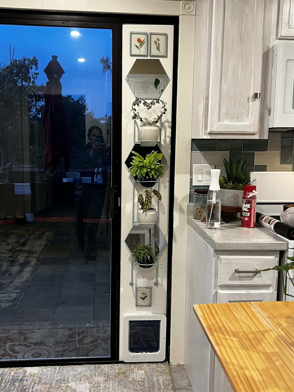 Smart Cat Door for Interior & Exterior, RFID Cat Pet Door with 3 Collar Sensor Keys & 1 Remote Control & 4 Way Locking Cat Flap with Collar Sensors Activated Opening CatDoor (Black) customer photo 1