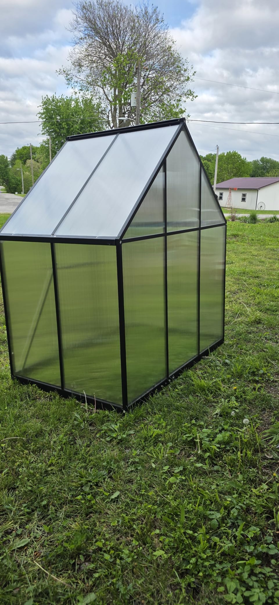 12X12FT Green Houses for Outside, Large Greenhouse for Outdoors and Garden Planting, Walk in Greenhouse Kit with Electronic Thermometers, Withstands Strong Wind or Snow to Protect Vegetables or Plants customer photo 2