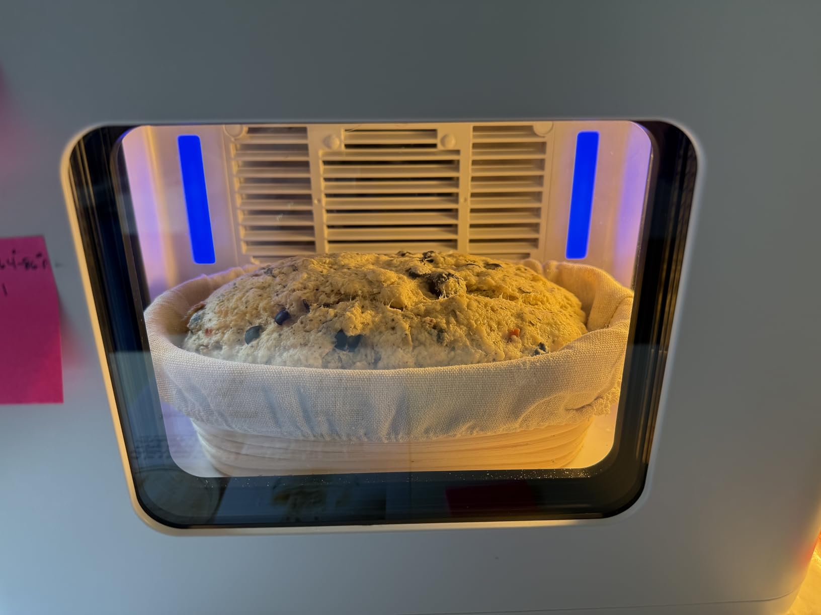 12.8L Smart Yogurt Maker Machine and Fermentation Kit, Kombucha, Kimchi, Natto, Tempeh, Sourdough Maker, Temp Control 50-115F, Timer 1 Hr -30 Day, Post-Ferment Cooling customer photo 1