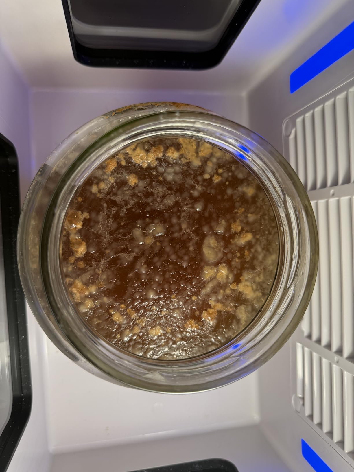 12.8L Smart Yogurt Maker Machine and Fermentation Kit, Kombucha, Kimchi, Natto, Tempeh, Sourdough Maker, Temp Control 50-115F, Timer 1 Hr -30 Day, Post-Ferment Cooling customer photo 2