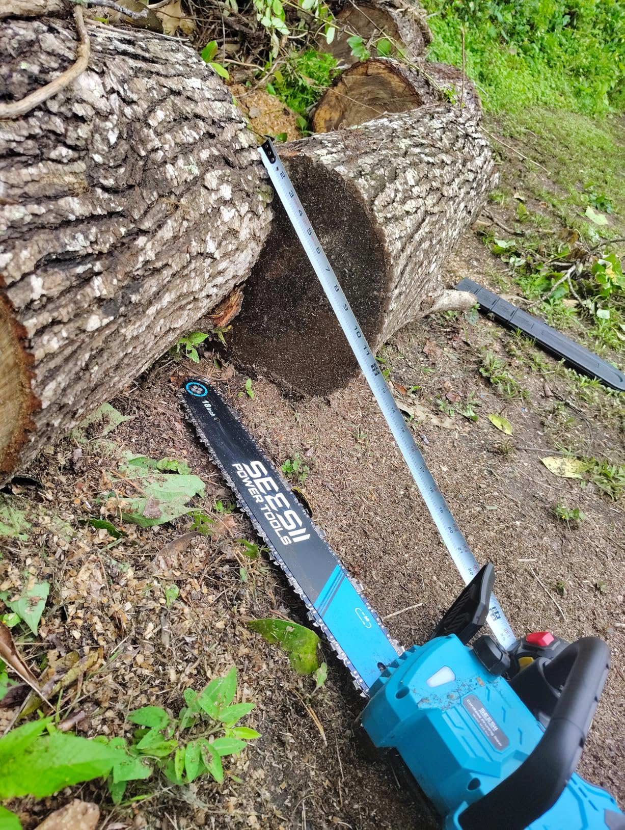 SEESII 40V 18-Inch Electric Chainsaw: Cordless Chainsaw with 2 x 5.0Ah Batteries & Fast Chargers, 2200W Brushless Battery Powered Chain Saw, Auto-Oiling customer photo 1
