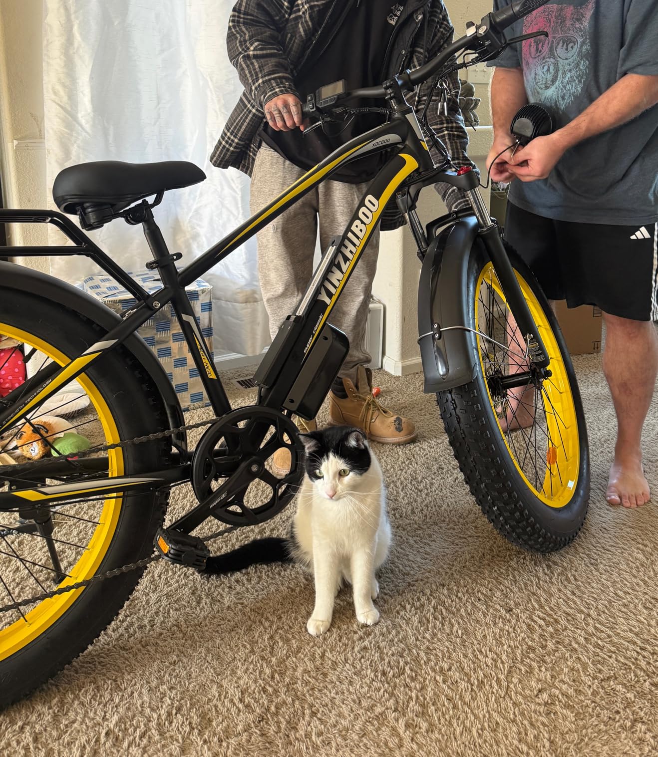 Electric Bike for Adults, 2000W Peak Motor E Bikes, 26