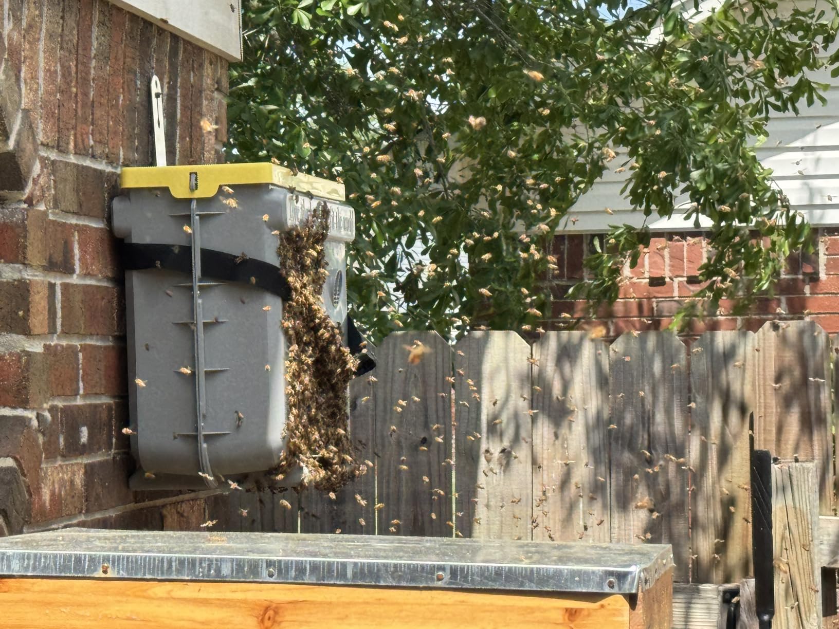 5-Frame Swarm Catcher Beehive Bee Colony Trap Hive Sliding Frame Design, Universal Compatibility with Langstroth Dadant UK, 48L Hive for Beekeepers (No Frames Included) customer photo 1