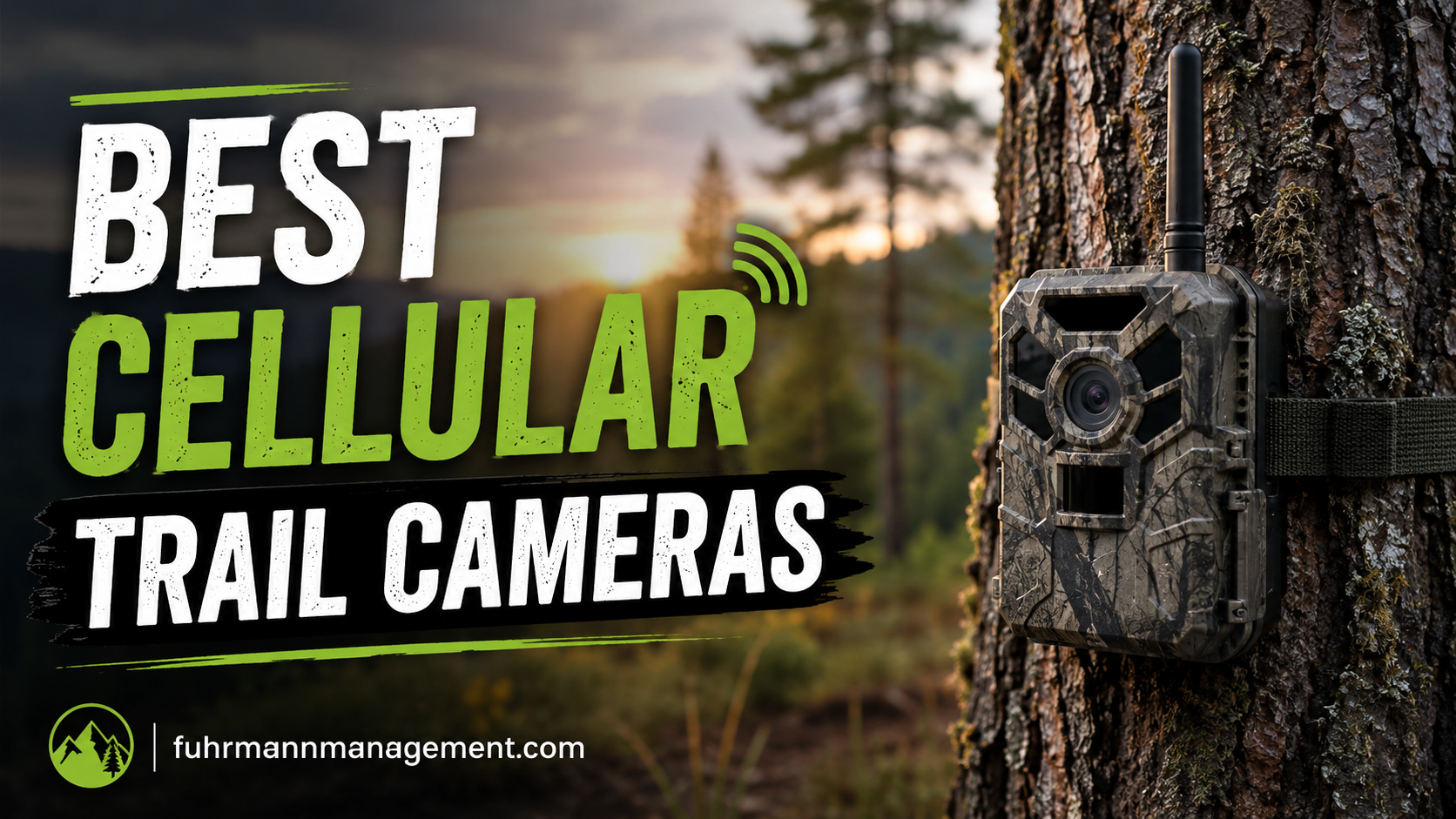 Best Cellular Trail Cameras