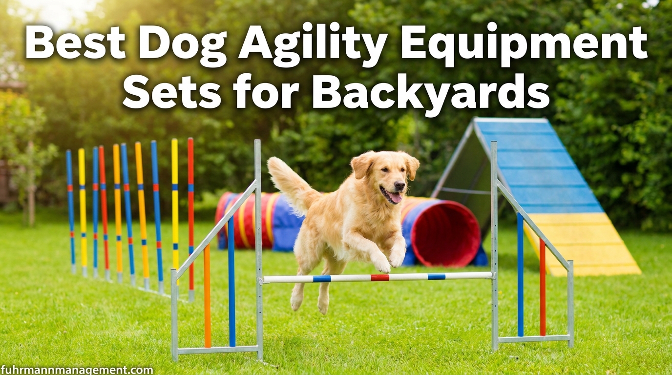 Best Dog Agility Equipment Sets for Backyards