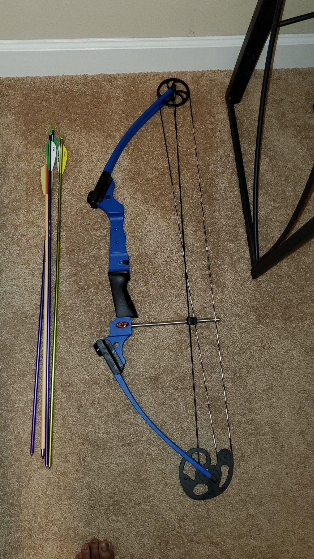 Genesis Archery Original Lightweight Compound Bow with Adjustable Aluminum Riser, 15-30 Inch Draw Length, 10-20 lb Draw Weight, for Kids and Adults, All Skill Levels customer photo 2