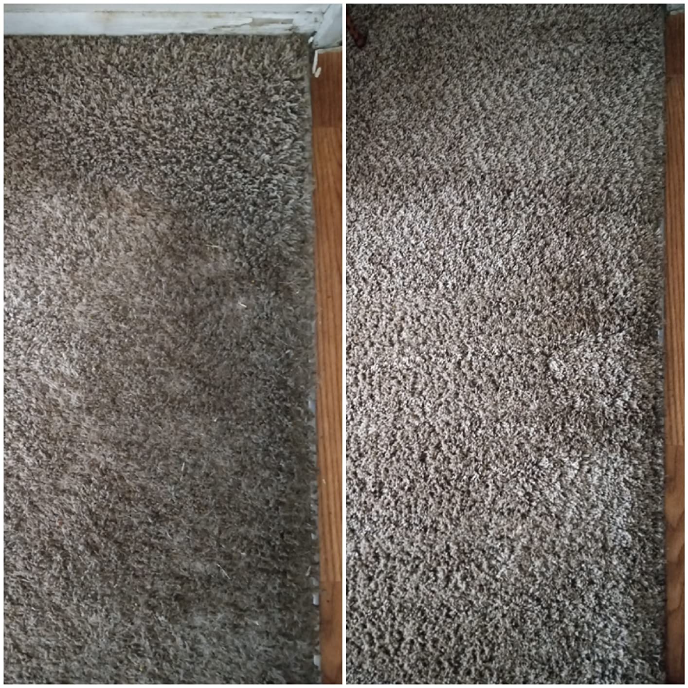 Resolve Professional Strength Spot and Stain Carpet Cleaner, Carpet Cleaner, Carpet Cleaner Solution, 32 Fl Oz customer photo 2