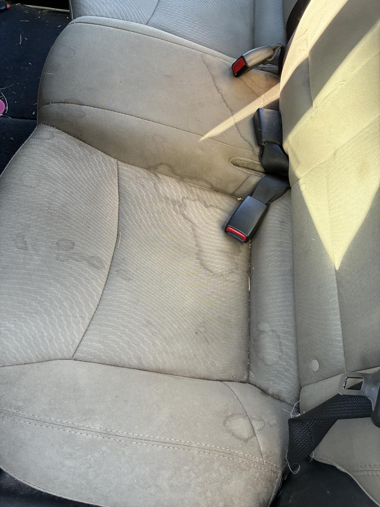 Chemical Guys Foaming Citrus Fabric Clean, Carpet and Upholstery Cleaner - Car Carpet Cleaner for Seats, and Floor Mats, Safe for Home, Office & More, Citrus Scent - 16 oz customer photo 1